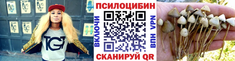 Галлюциногенные грибы мицелий  KRAKEN ONION  Сочи 